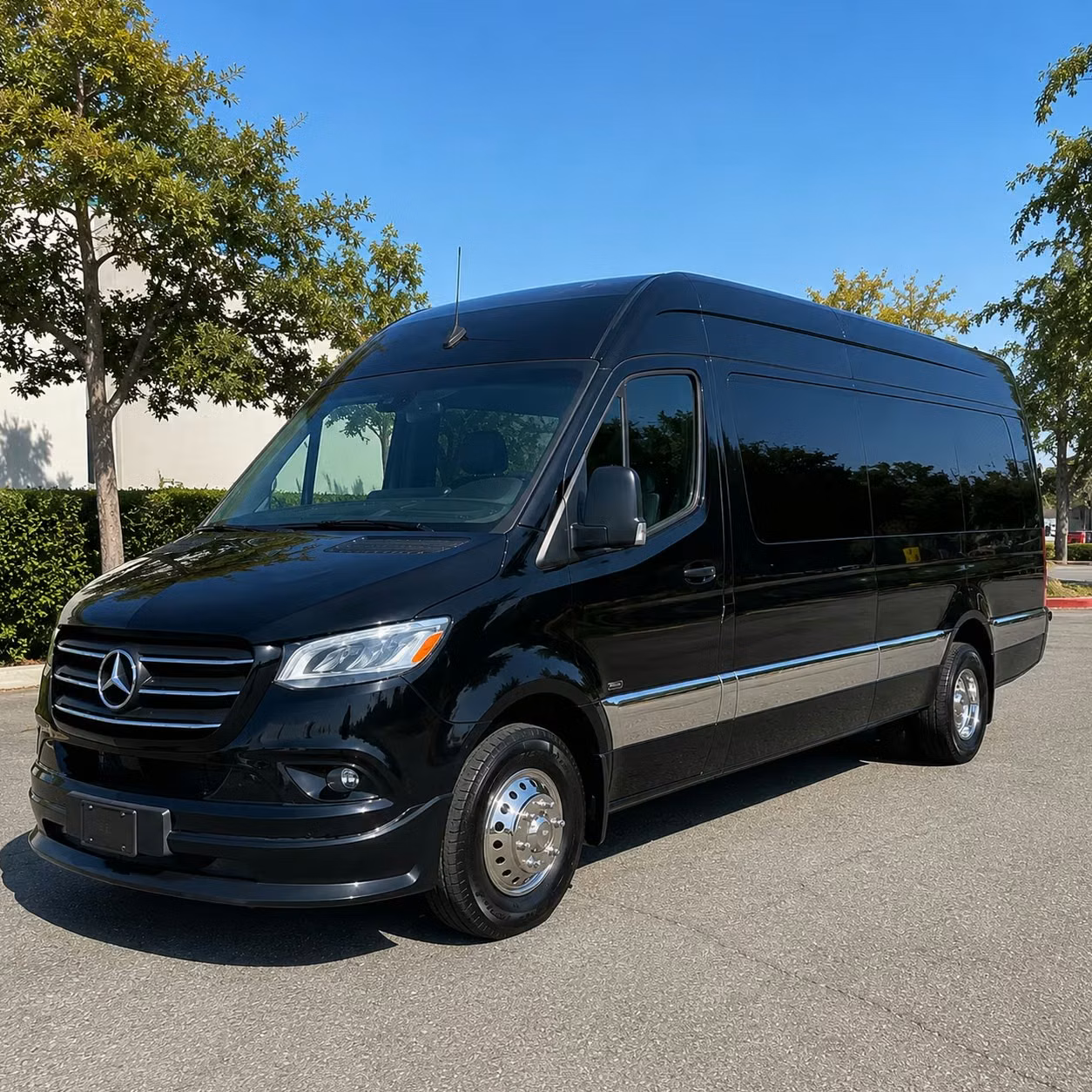 sprinter van with driver